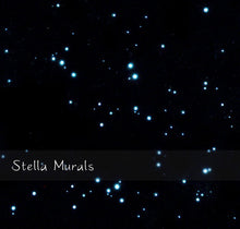 Glow in the Dark Star Stickers | 200 - 1000 Stickers | DIY 3D Glow in Dark Star Ceiling | Super Bright, Realistic Night Sky | Free Shipping