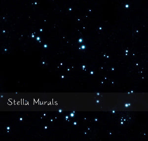 Glow in the Dark Star Stickers | 200 - 1000 Stickers | DIY 3D Glow in Dark Star Ceiling | Super Bright, Realistic Night Sky | Free Shipping