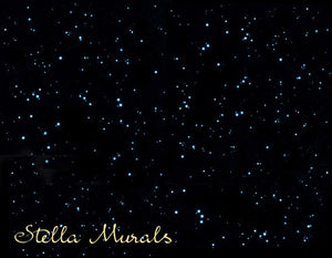 Glow in the Dark Star Stickers | 200 - 1000 Stickers | DIY 3D Glow in Dark Star Ceiling | Super Bright, Realistic Night Sky | Free Shipping