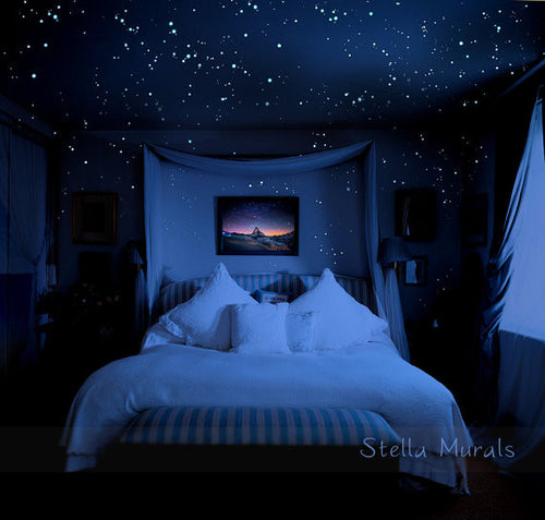 Glow in the Dark Star Stickers | 200 - 1000 Stickers | DIY 3D Glow in Dark Star Ceiling | Super Bright, Realistic Night Sky | Free Shipping