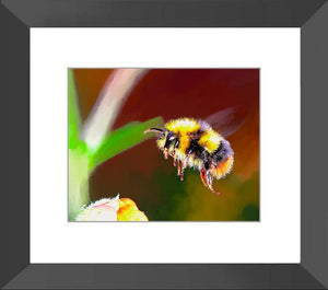 Bumble bee and flower original artwork print. Flying honey insect baby shower gift ideas. Garden wall hanging. Yellow and black keeper art