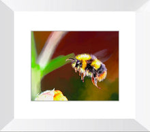 Bumble bee and flower original artwork print. Flying honey insect baby shower gift ideas. Garden wall hanging. Yellow and black keeper art