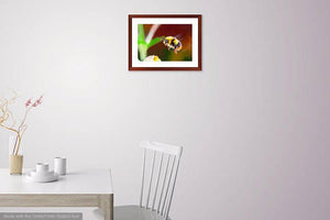 Bumble bee and flower original artwork print. Flying honey insect baby shower gift ideas. Garden wall hanging. Yellow and black keeper art