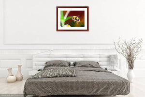 Bumble bee and flower original artwork print. Flying honey insect baby shower gift ideas. Garden wall hanging. Yellow and black keeper art